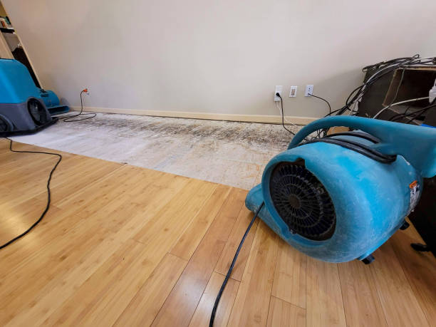 Professional Water Damage Repair technician working in Fredericktown, OH
