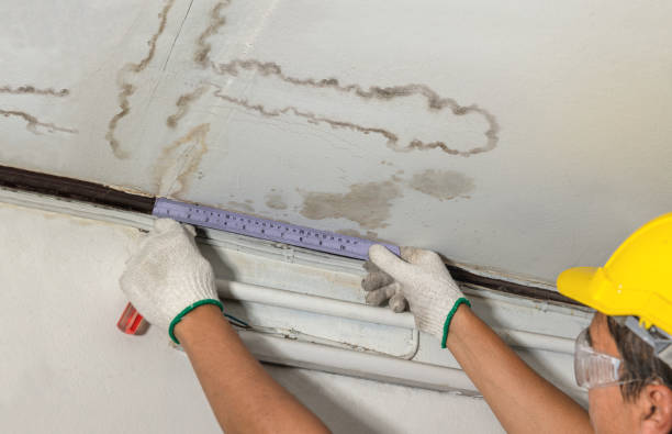 Affordable Water Damage Repair solutions in Fredericktown, OH